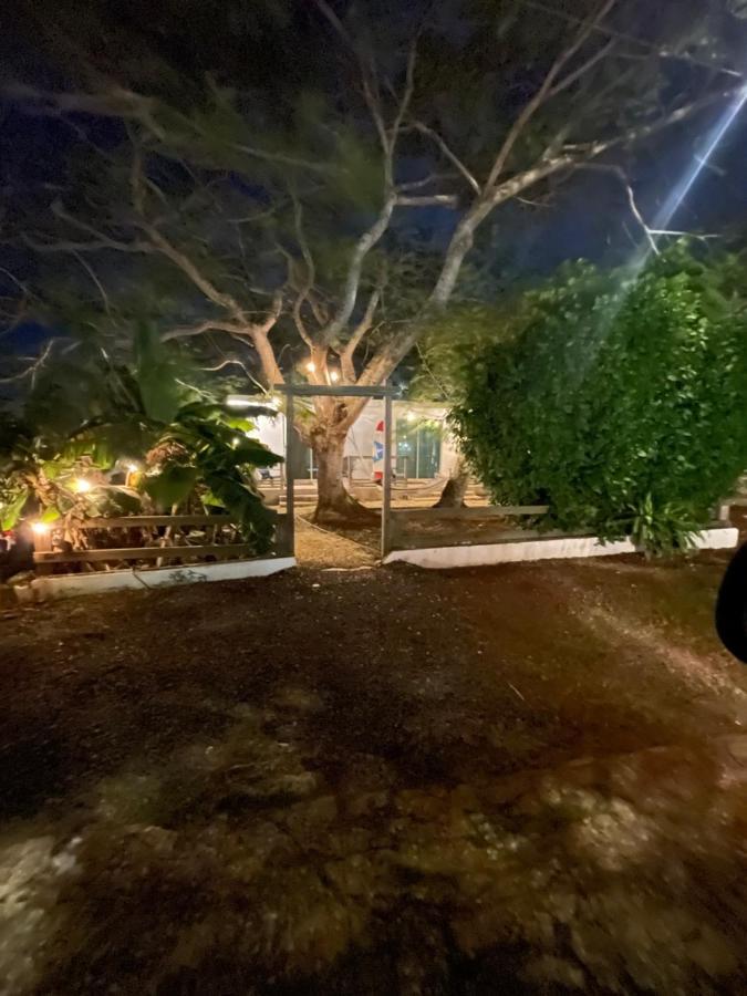 Las Olas Beach Apartments أريسيبو المظهر الخارجي الصورة
